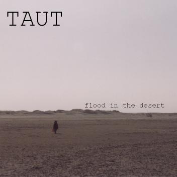 Cover: TAUT – flood in the desert